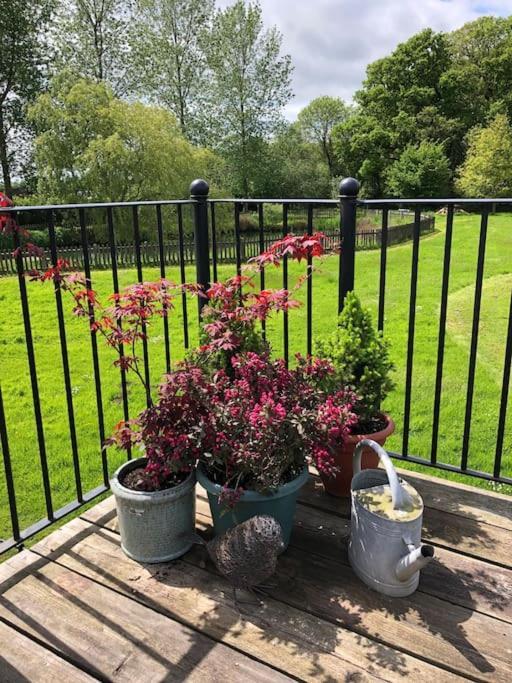 The Annexe Holiday home Sturminster Newton